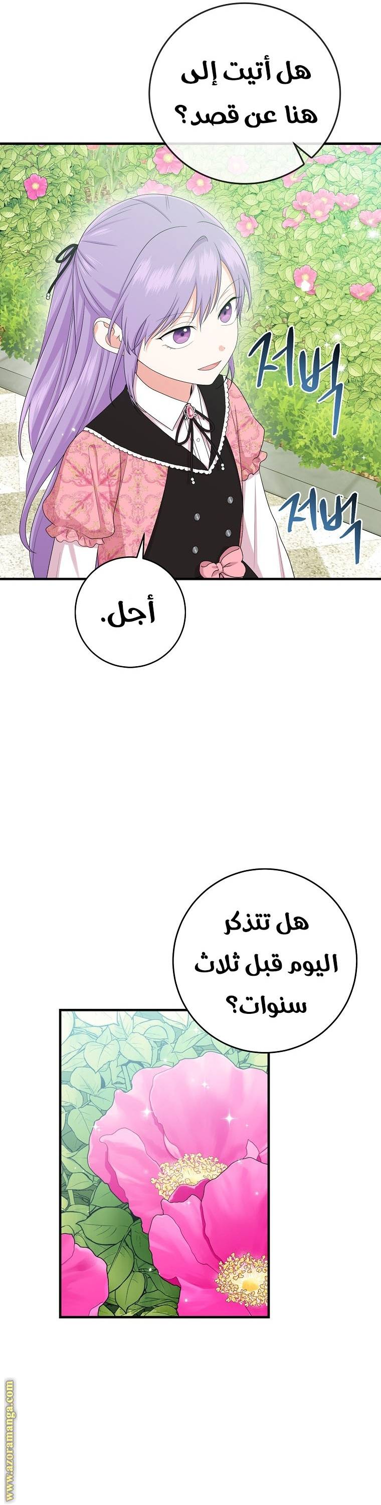 الصفحة 26