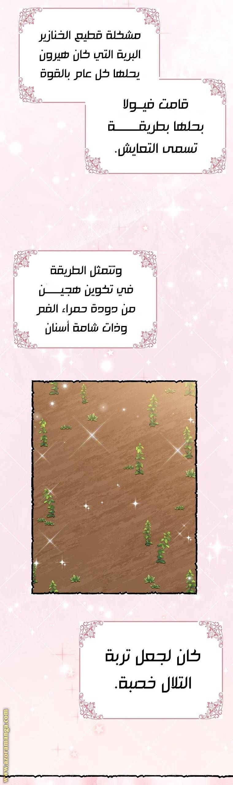 الصفحة 29