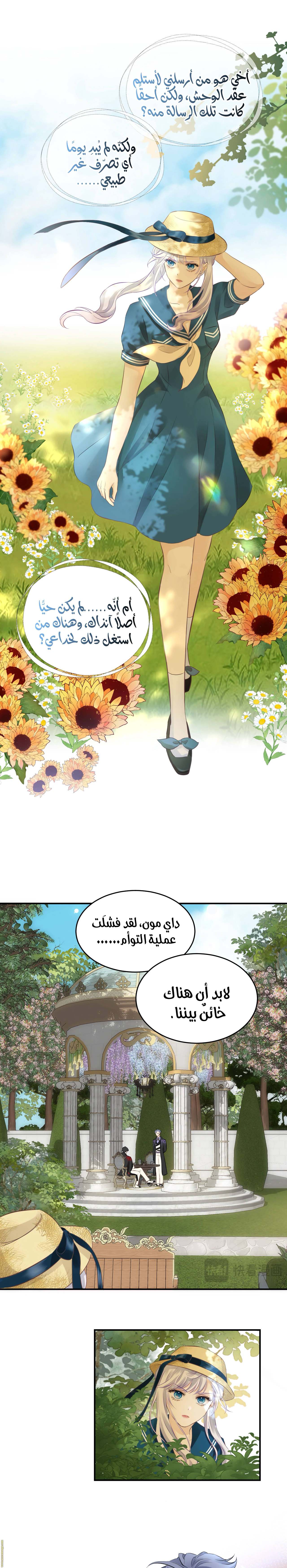 الصفحة 13