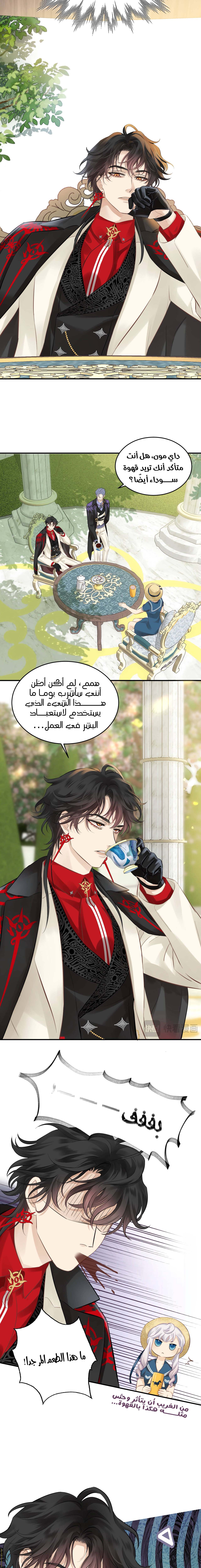 الصفحة 3