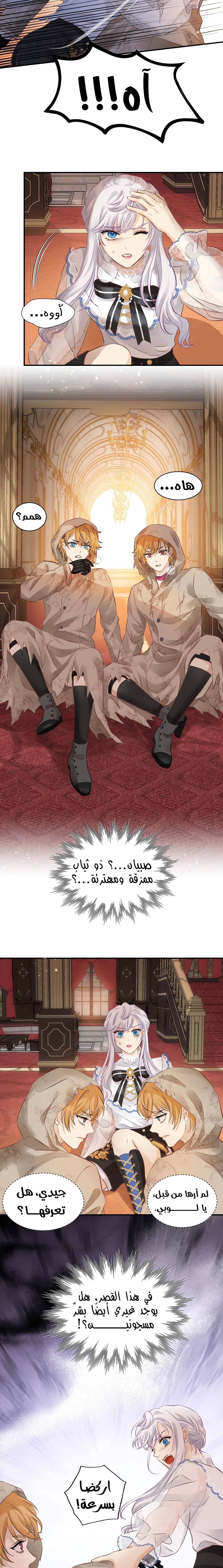 الصفحة 12