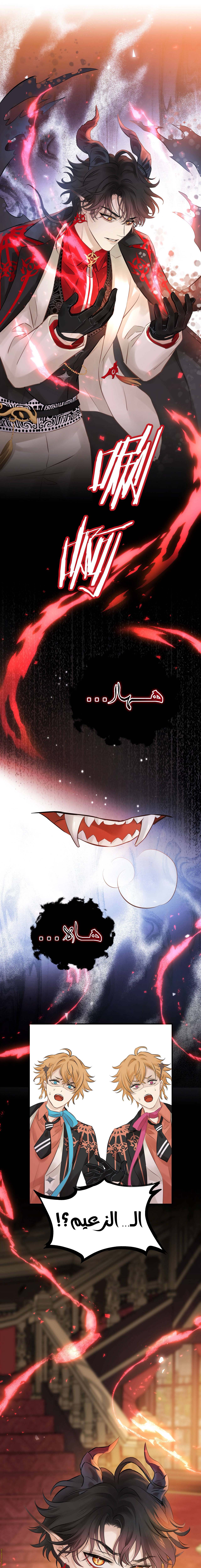 الصفحة 16