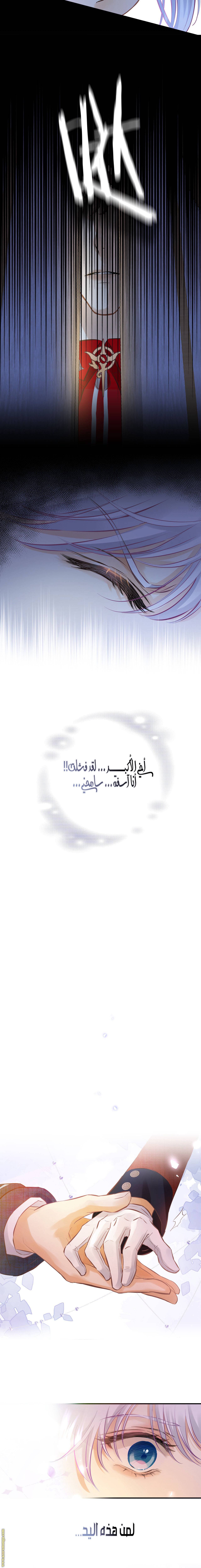 الصفحة 16