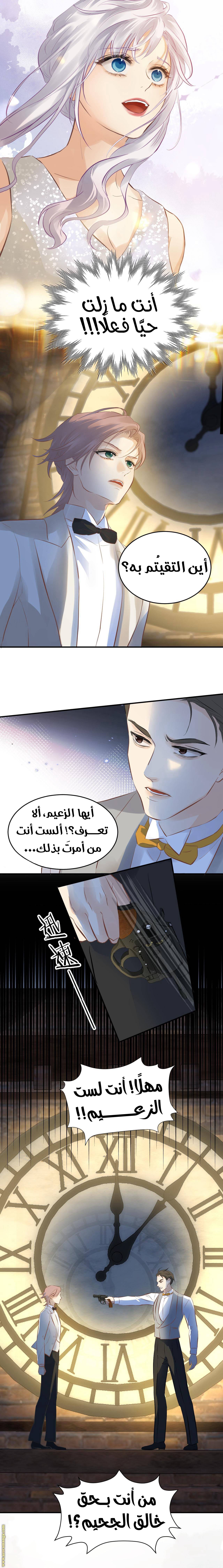 الصفحة 7