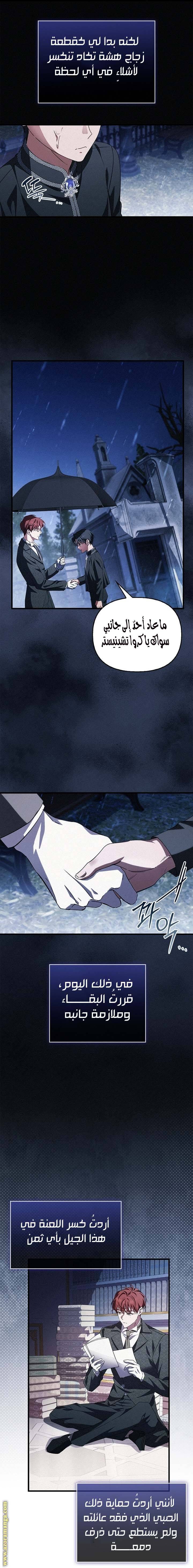 الصفحة 13