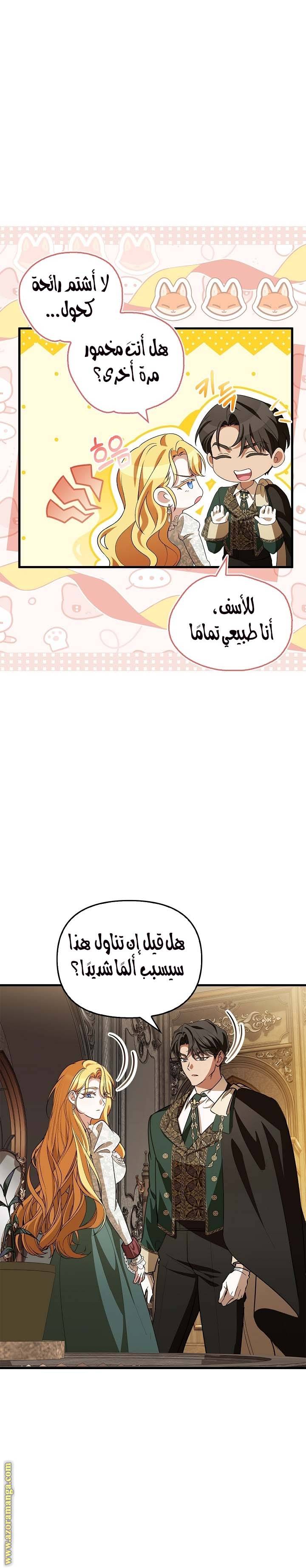 الصفحة 17