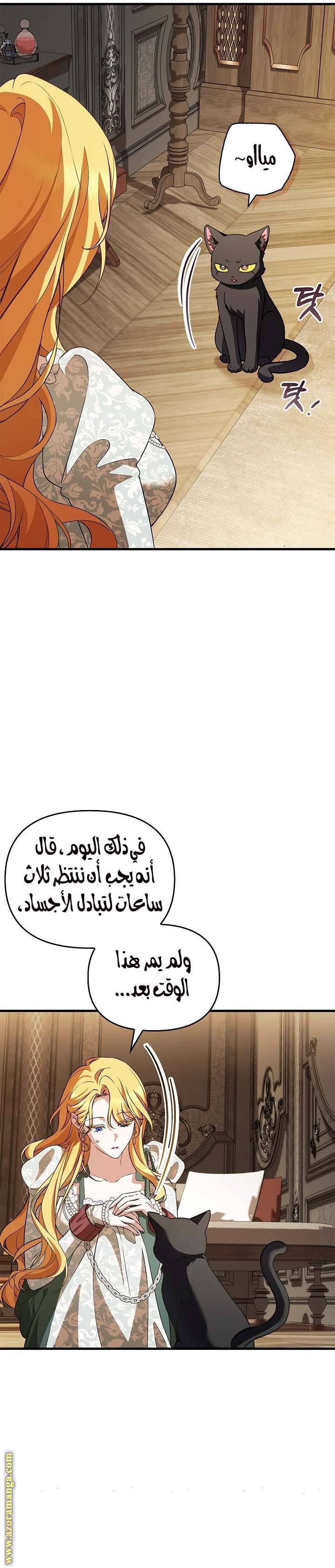الصفحة 22