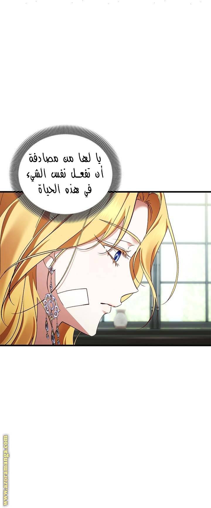 الصفحة 29
