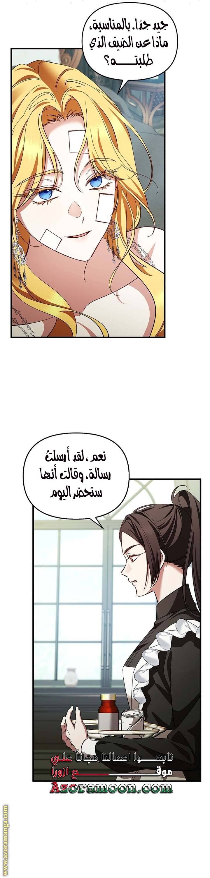الصفحة 31