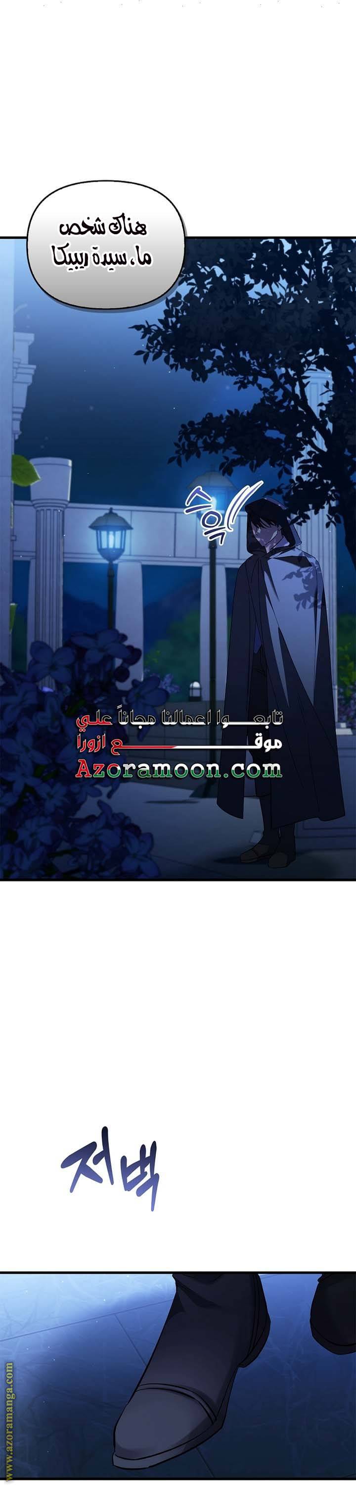 الصفحة 31