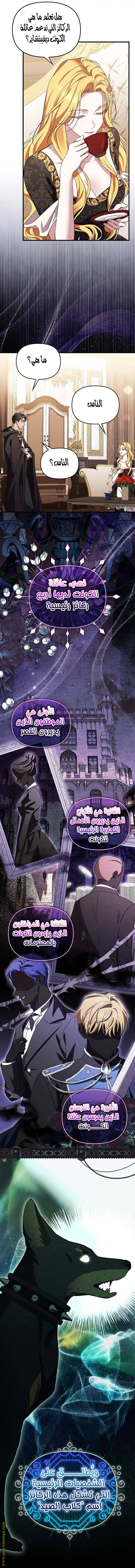 الصفحة 19