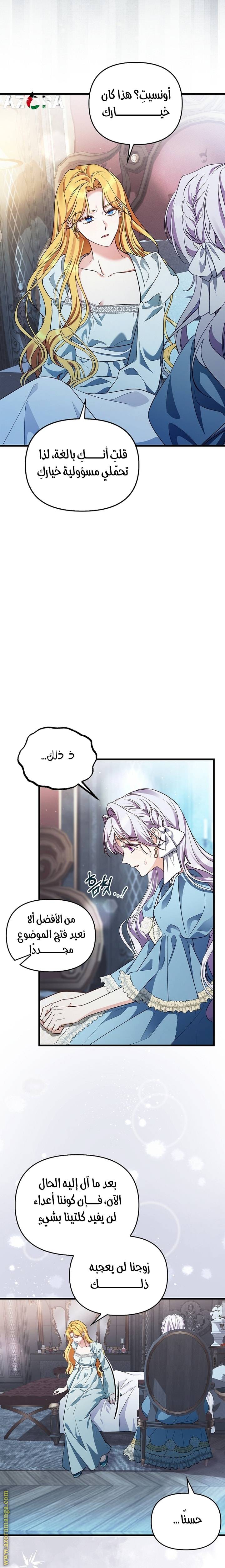 الصفحة 17