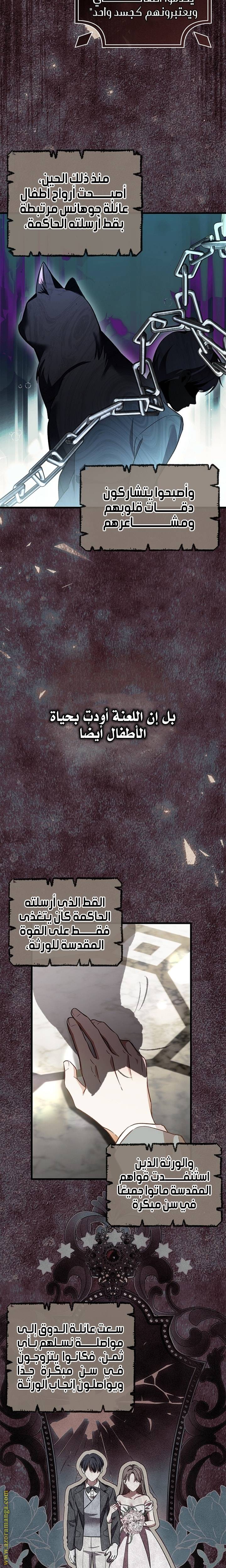 الصفحة 17