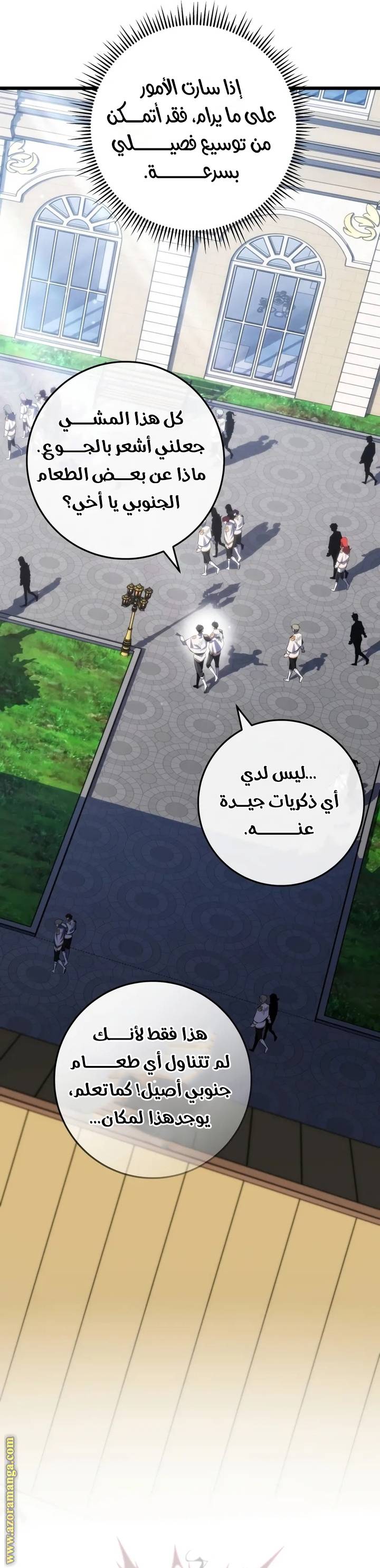 الصفحة 17