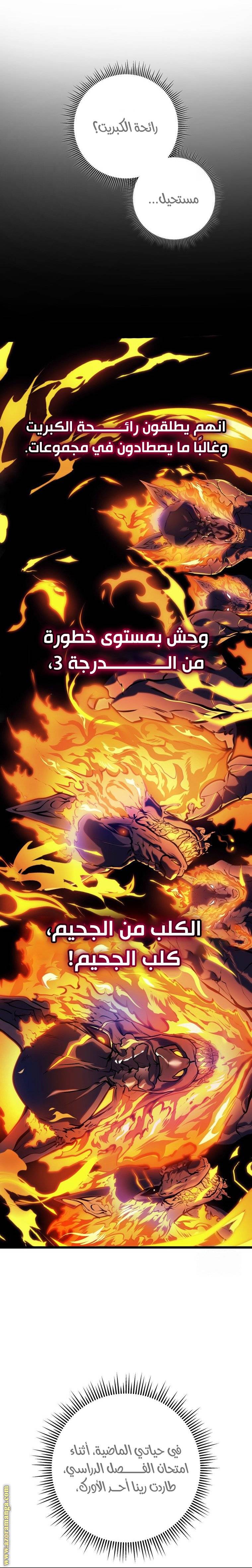 الصفحة 17