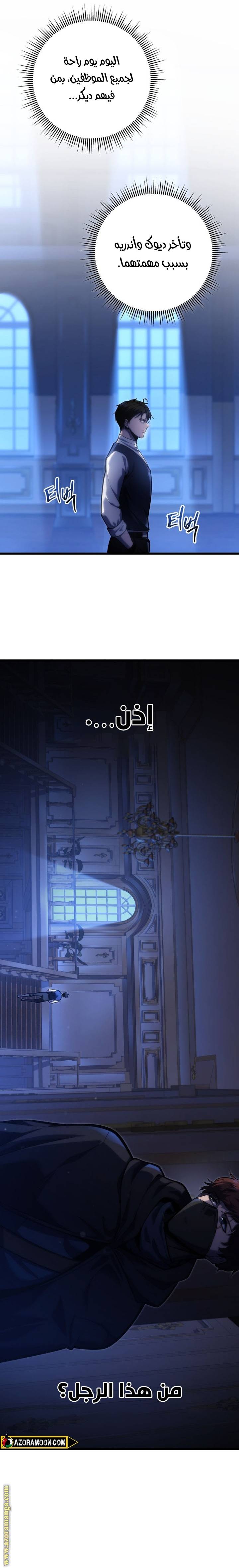 الصفحة 17
