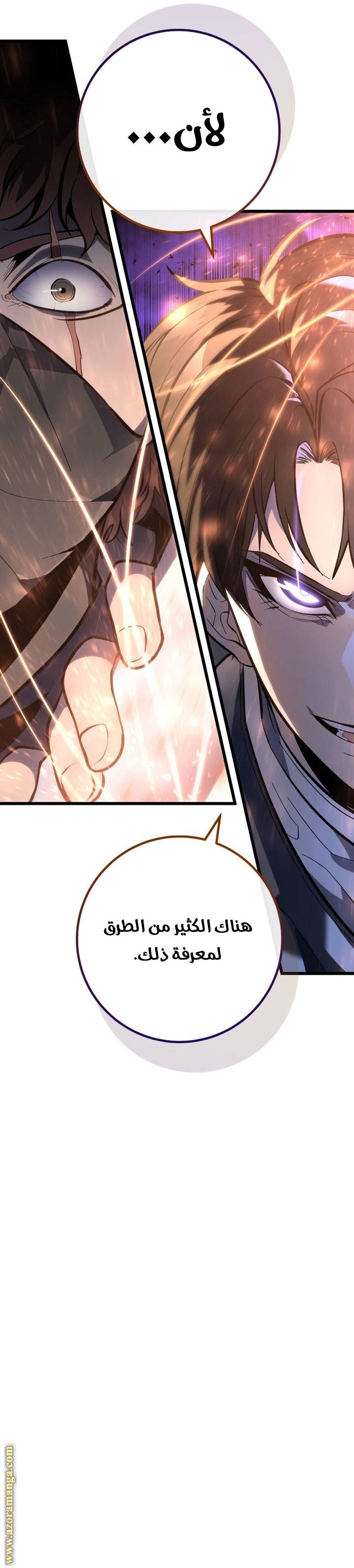 الصفحة 24