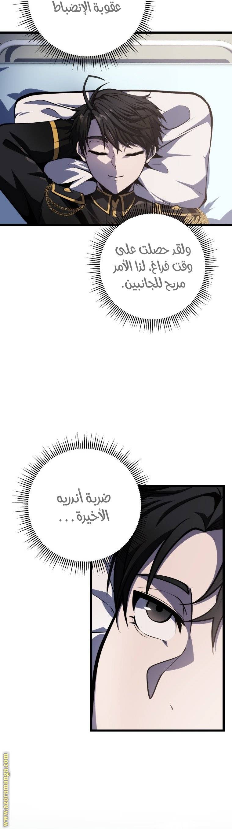 الصفحة 27