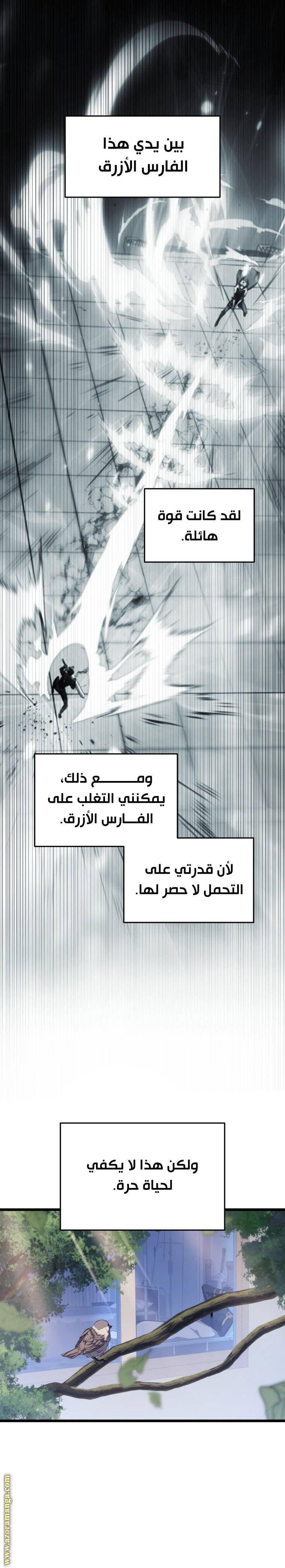 الصفحة 29