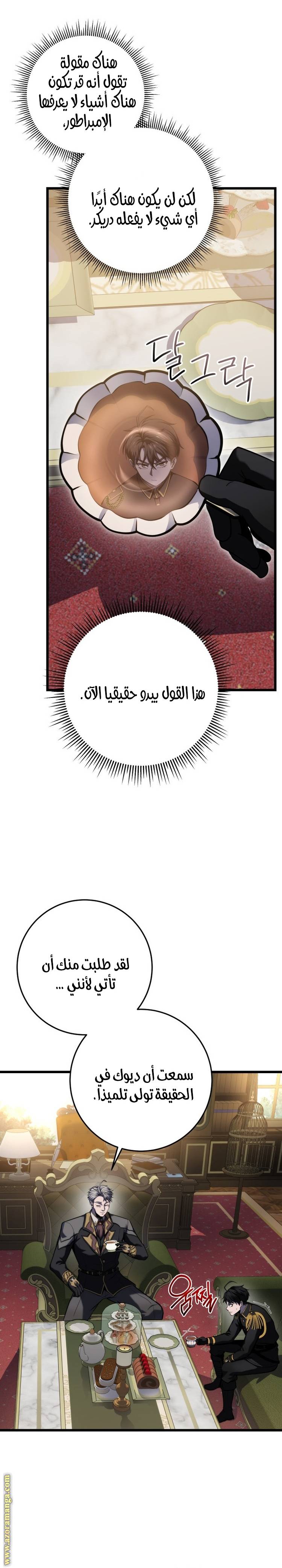 الصفحة 16