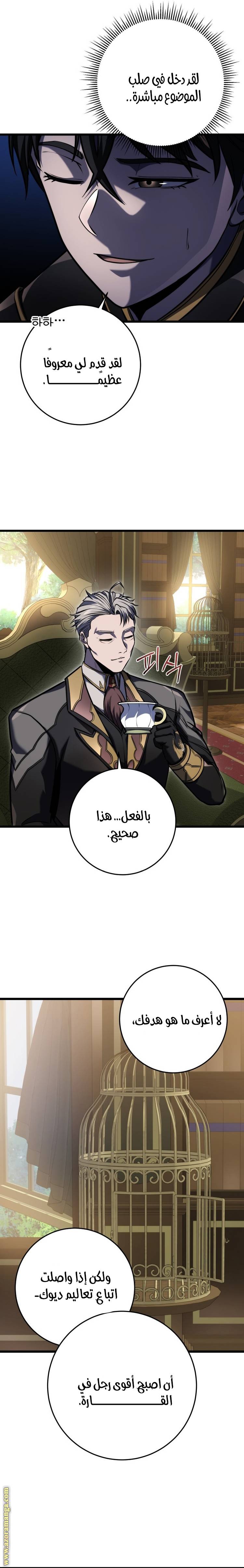 الصفحة 17