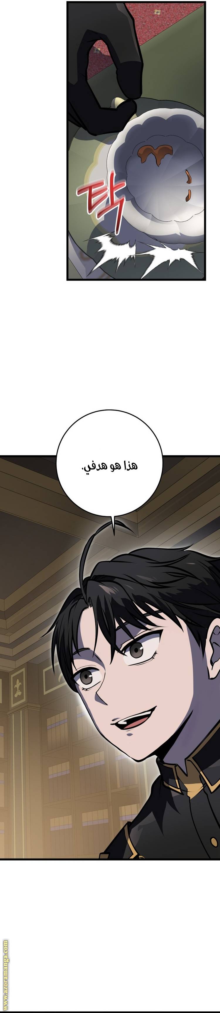 الصفحة 19