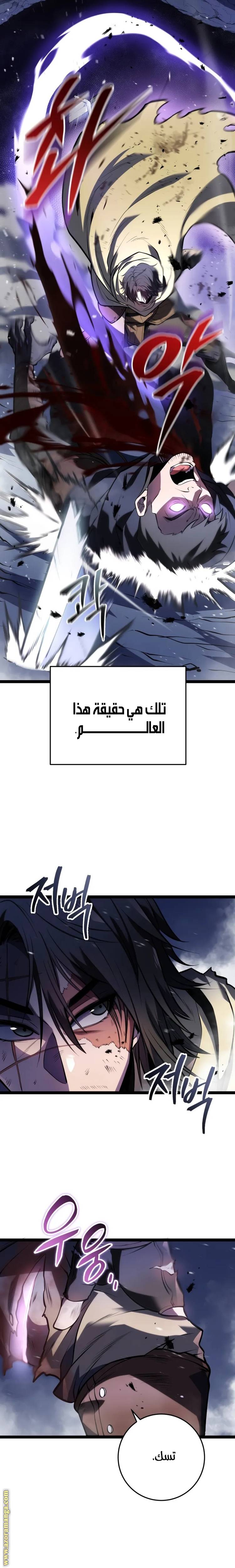 الصفحة 13