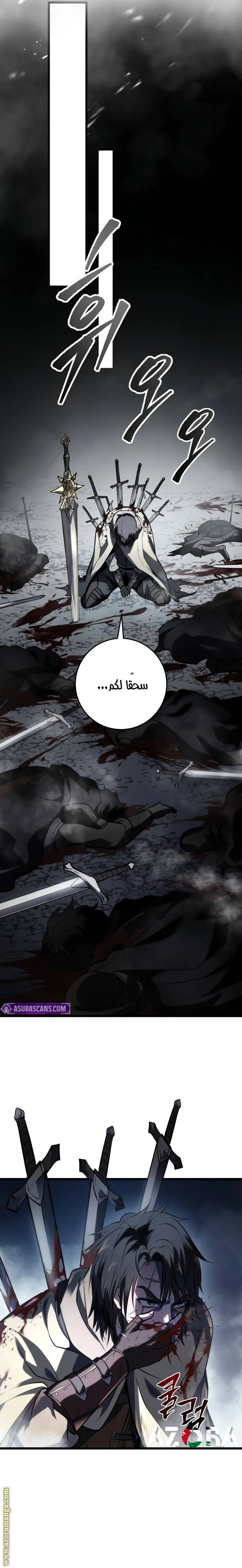 الصفحة 17