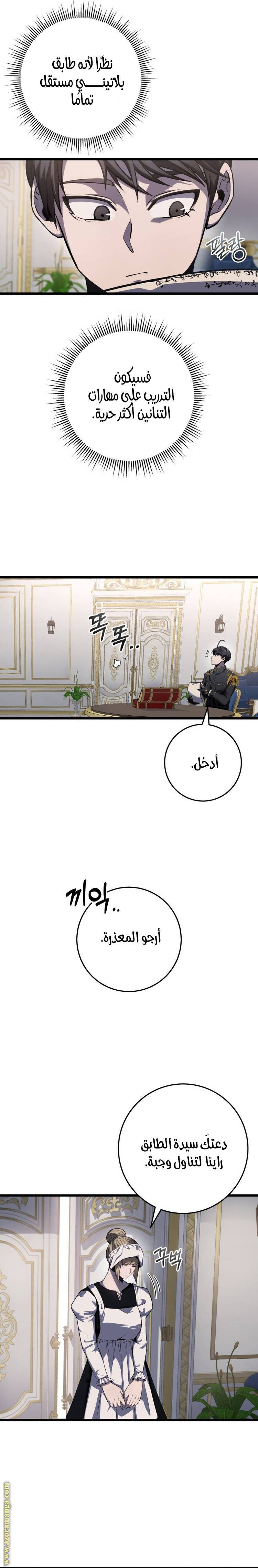 الصفحة 13