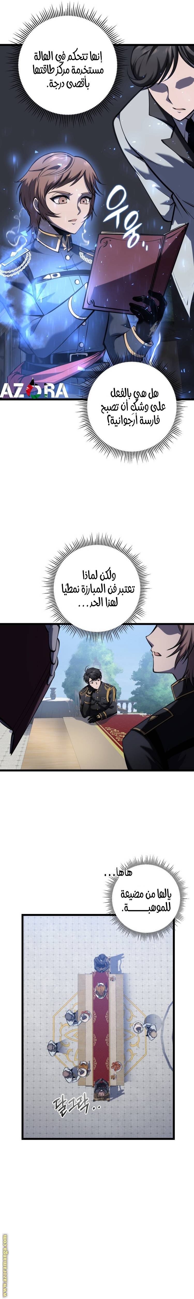 الصفحة 17