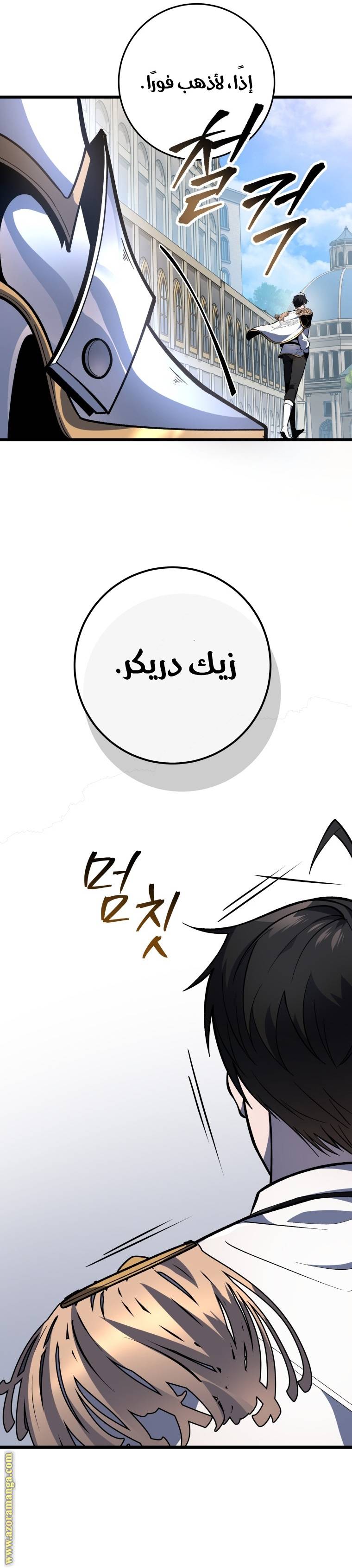 الصفحة 13