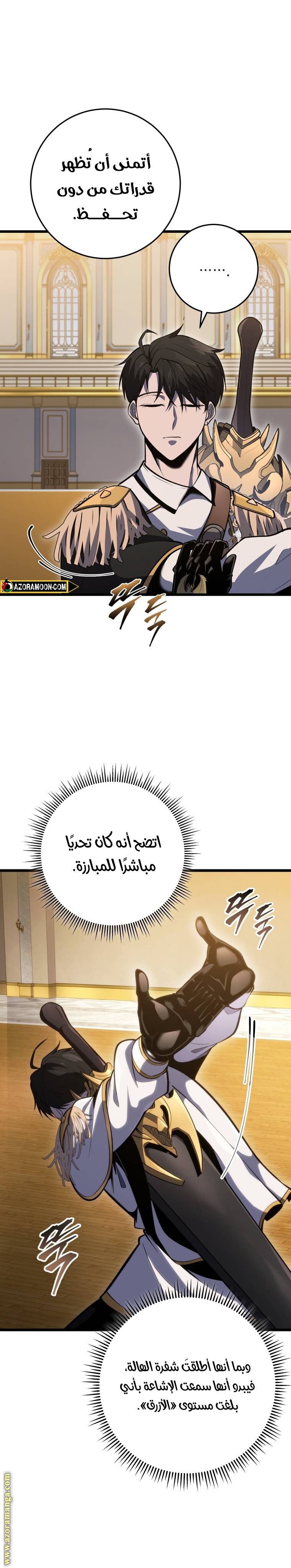 الصفحة 17