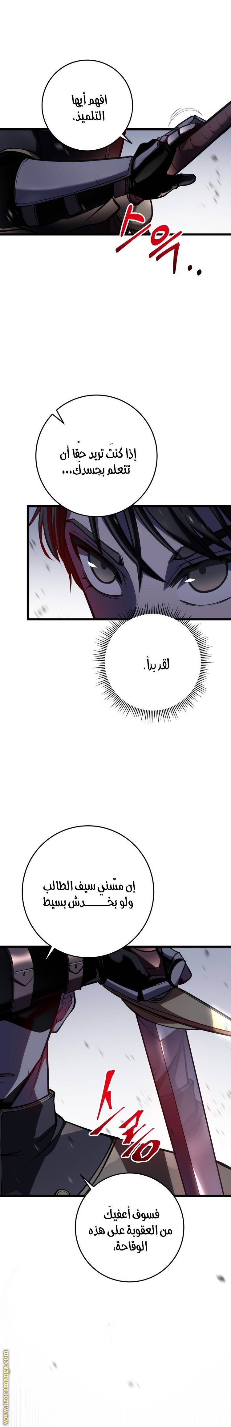 الصفحة 29
