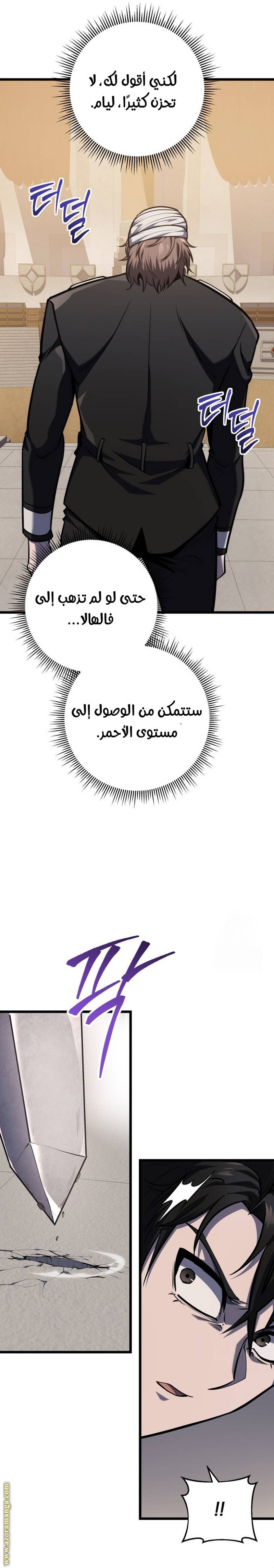 الصفحة 11