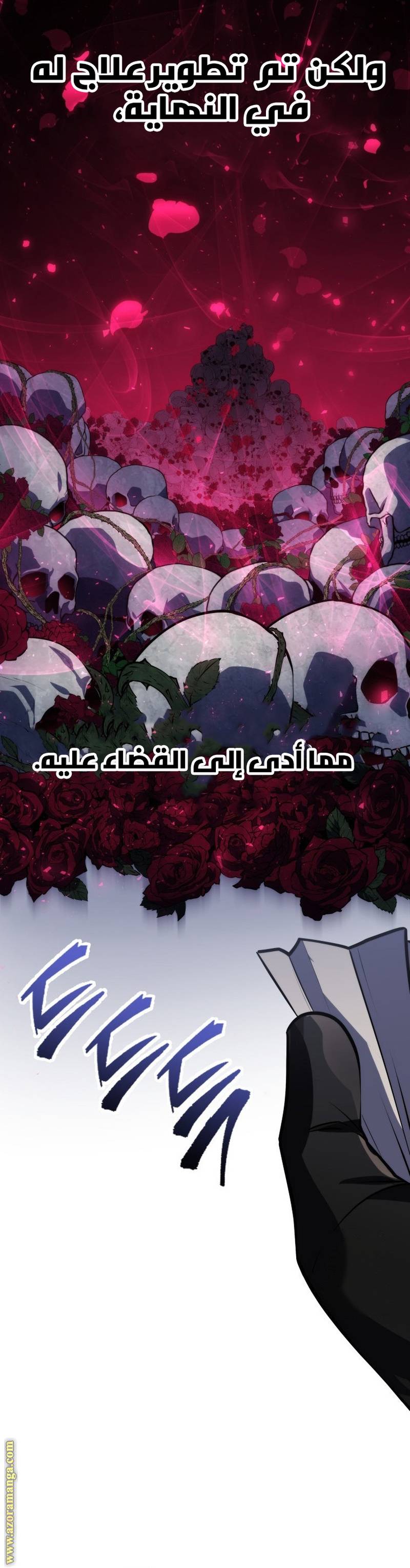 الصفحة 24