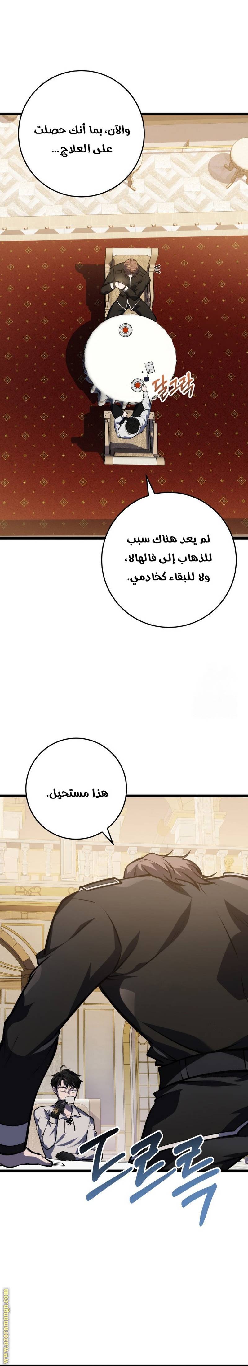 الصفحة 27