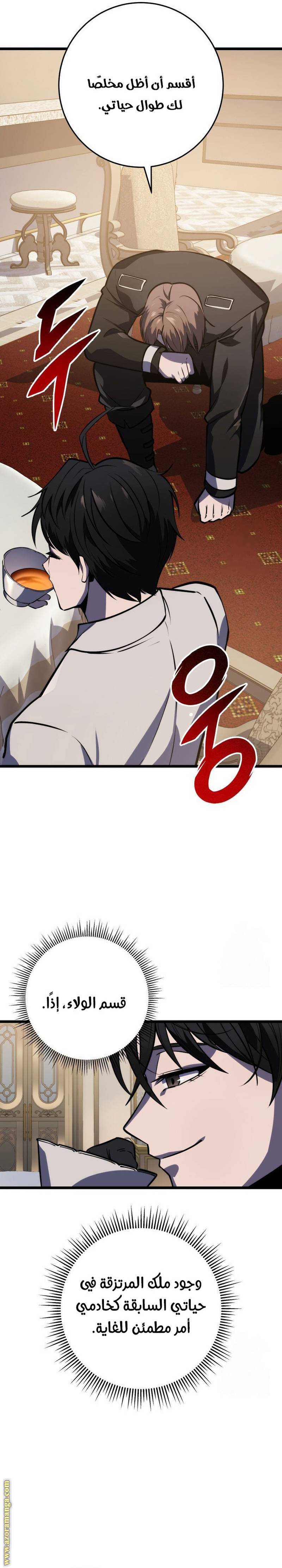 الصفحة 29