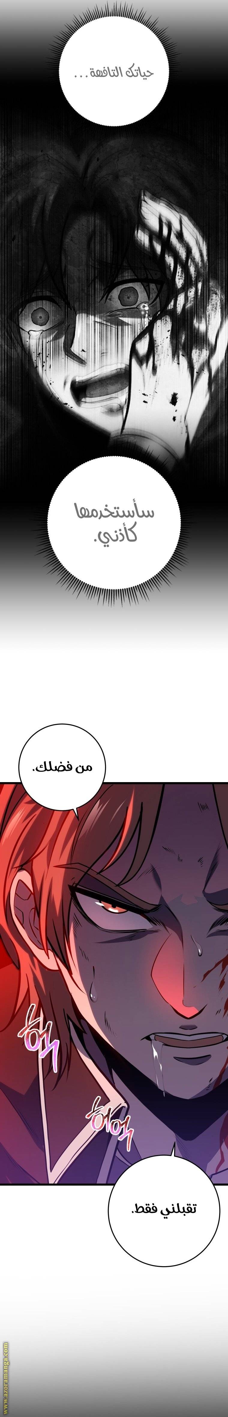 الصفحة 25