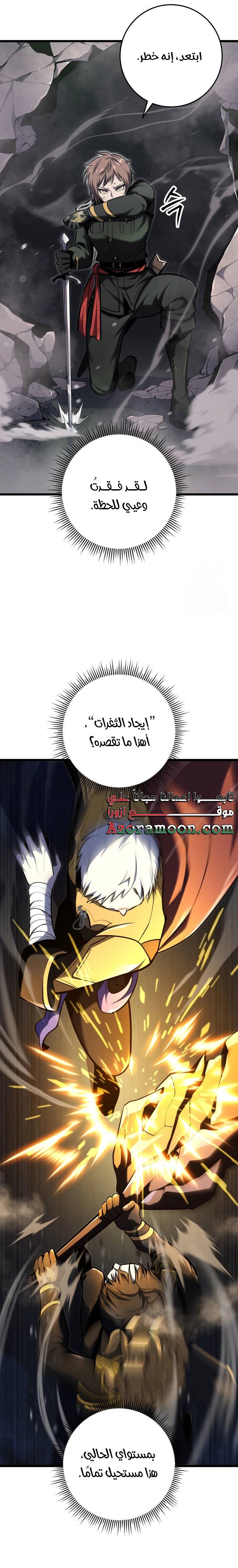 الصفحة 17