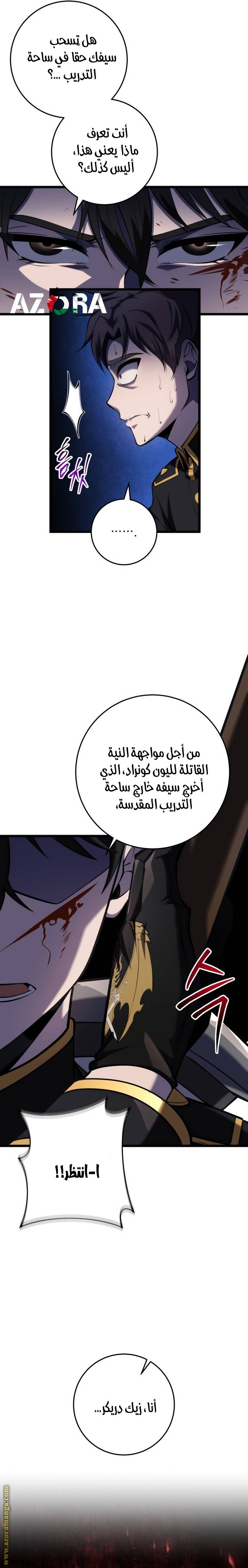 الصفحة 13