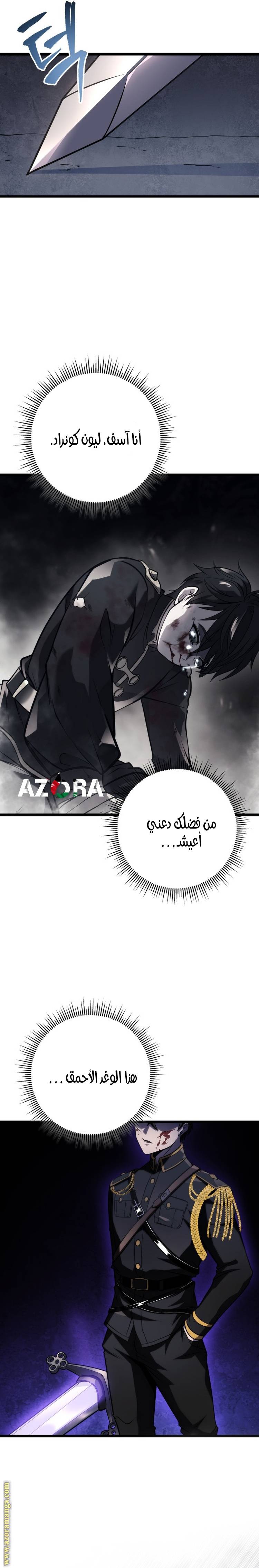 الصفحة 17