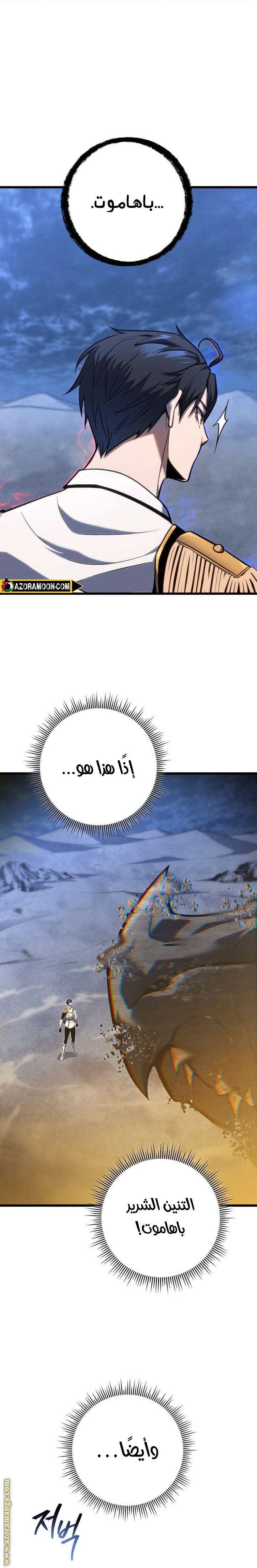 الصفحة 17