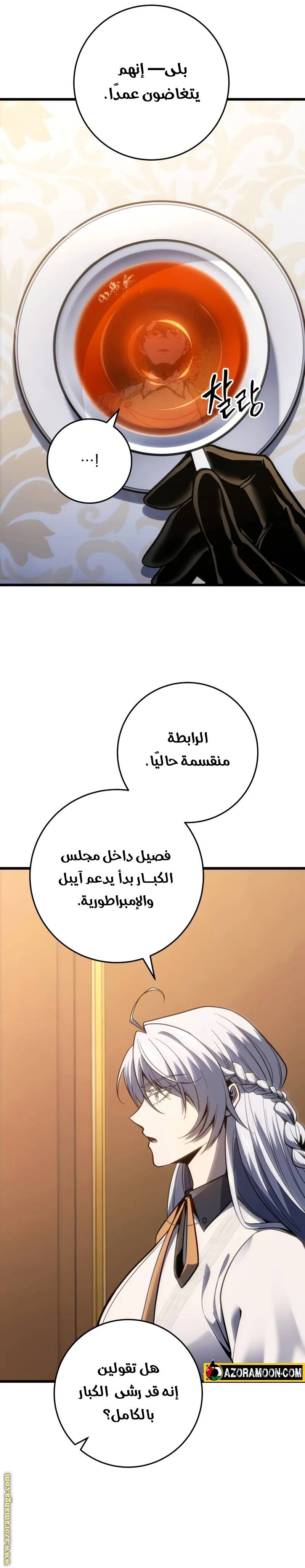 الصفحة 17