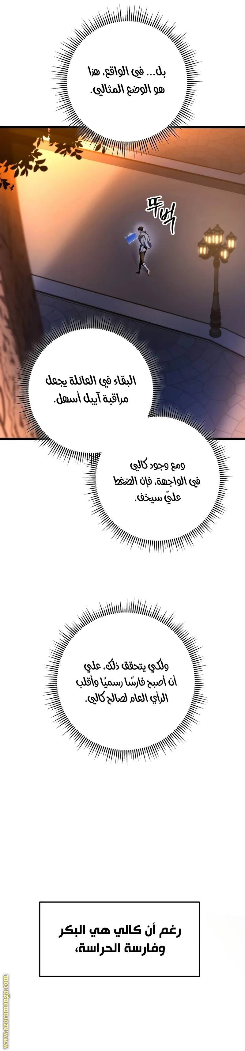 الصفحة 30