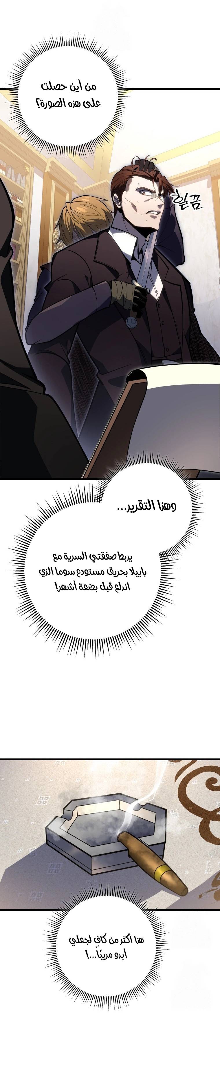 الصفحة 17