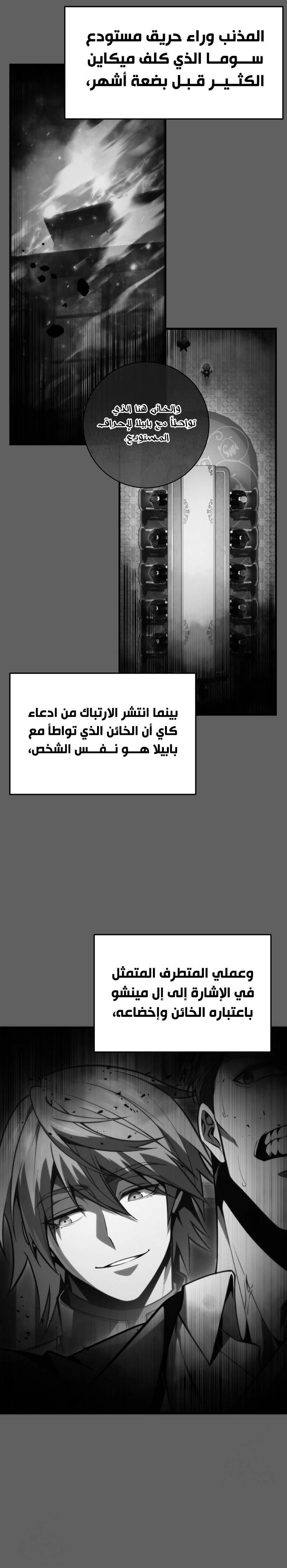 الصفحة 26