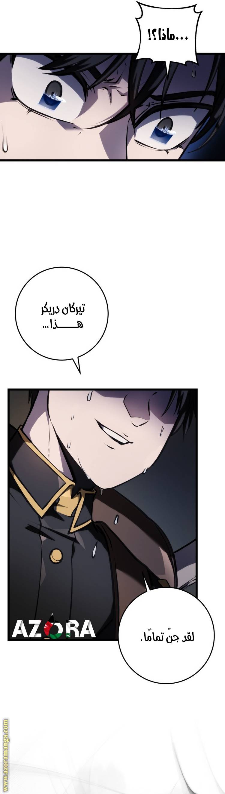 الصفحة 13