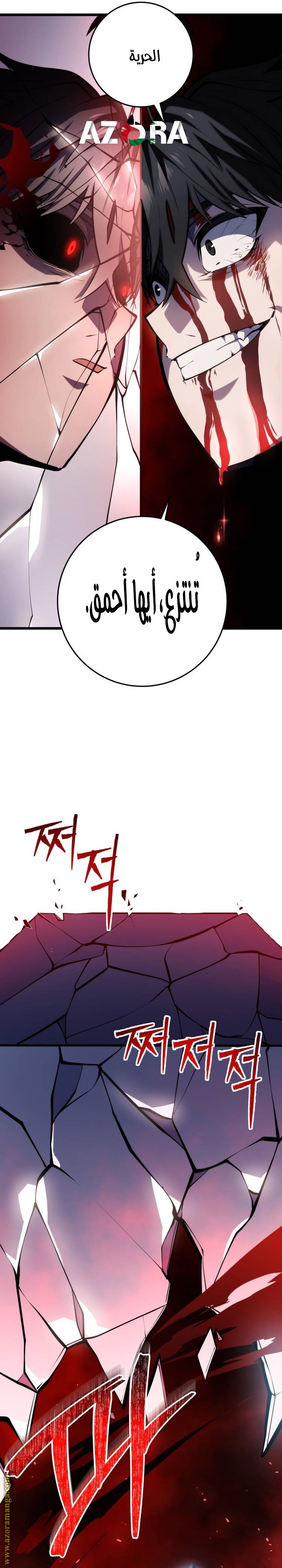 الصفحة 24
