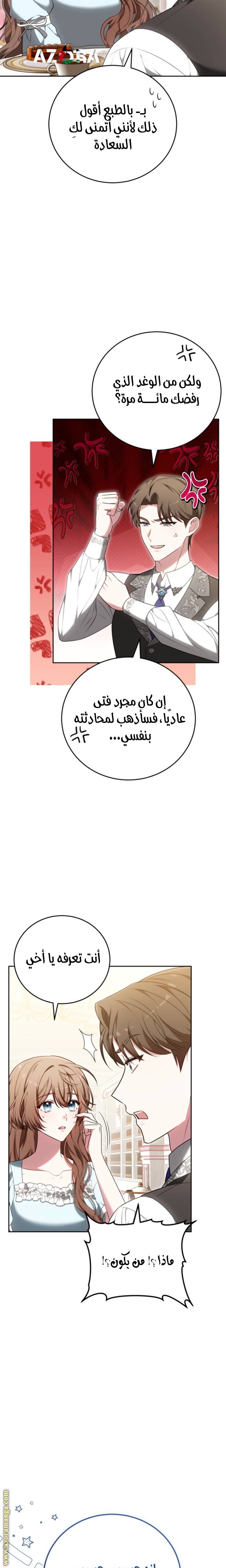 الصفحة 21