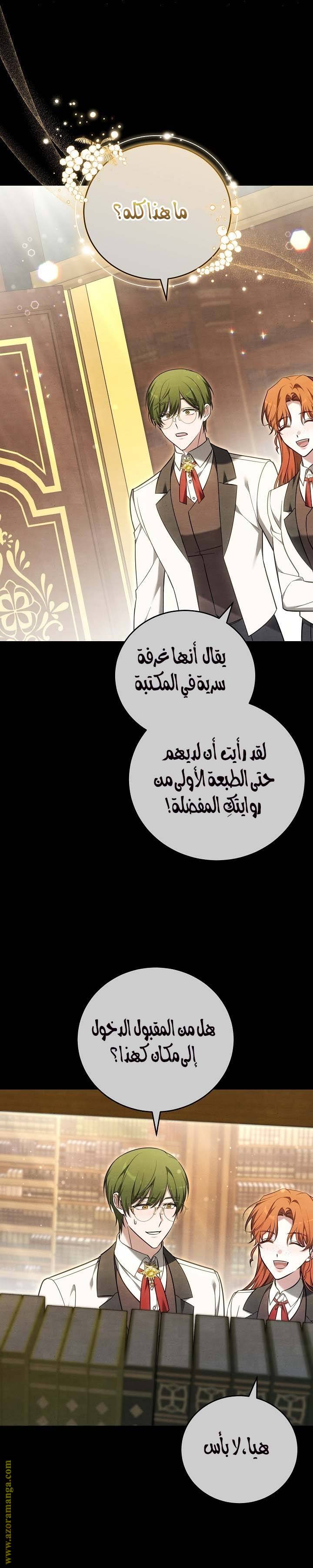 الصفحة 17